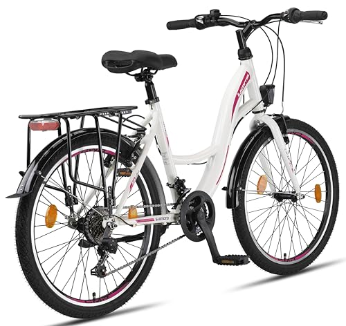 Licorne Bike Hollandrad 28 Zoll Citybike mit Gangschaltung