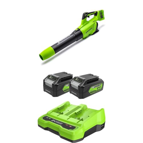 Greenworks Laubbläser bürstenlosem Turbofunktion GD24X2ABK4X