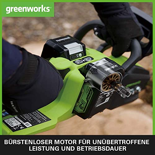 Greenworks Akku Kettensäge Kettengeschwindigkeit Schwertlänge Öltankvolumen