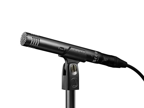 Audio Technica AT2031 Audio Technik