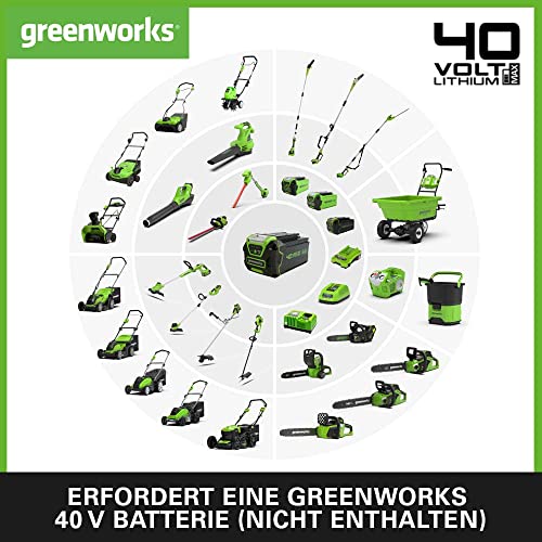 Greenworks Akku Hochentaster G40PSF Schwertlänge Kettengeschwindigkeit