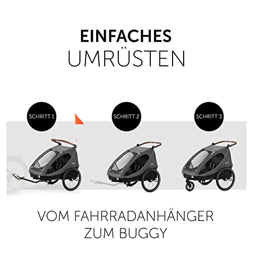hauck Fahrradanhänger Kinder Monaten Deichsel