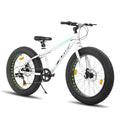 Rennrad Aluminium Commuter Fahrrad Geschwindigkeiten