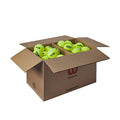 Wilson Tennisbälle Triniti recyclebar WR8201501