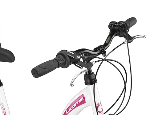 Licorne Bike Hollandrad 28 Zoll Citybike mit Gangschaltung