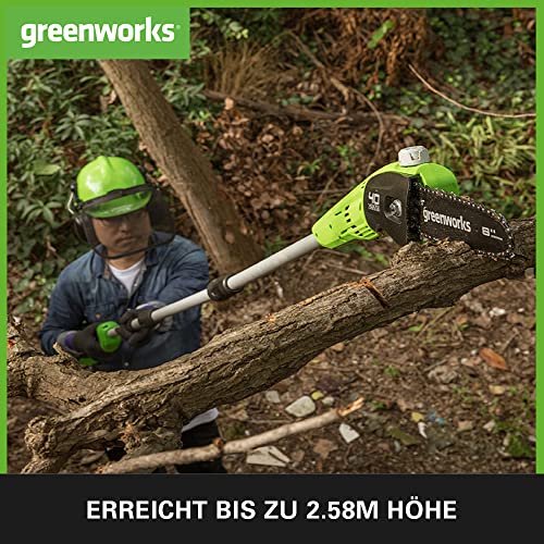 Greenworks Akku Hochentaster G40PSF Schwertlänge Kettengeschwindigkeit